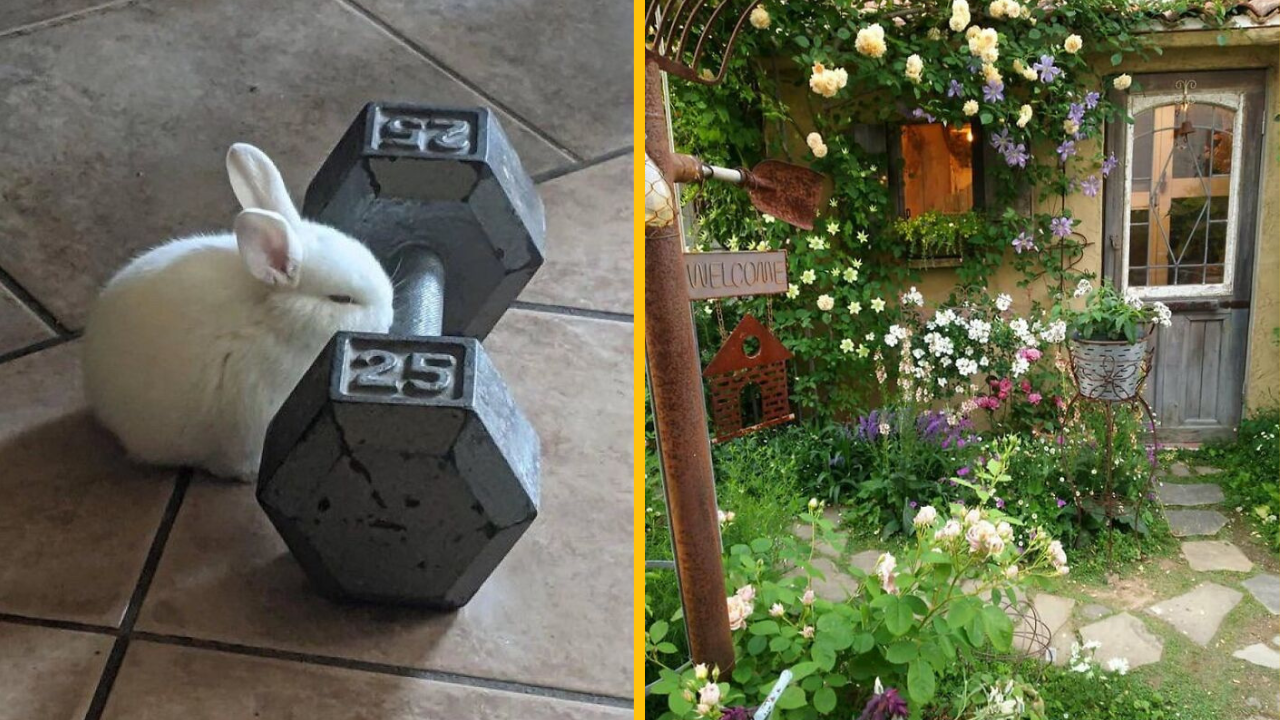 10 fotografií, ktoré vám zlepšia deň (2. časť)