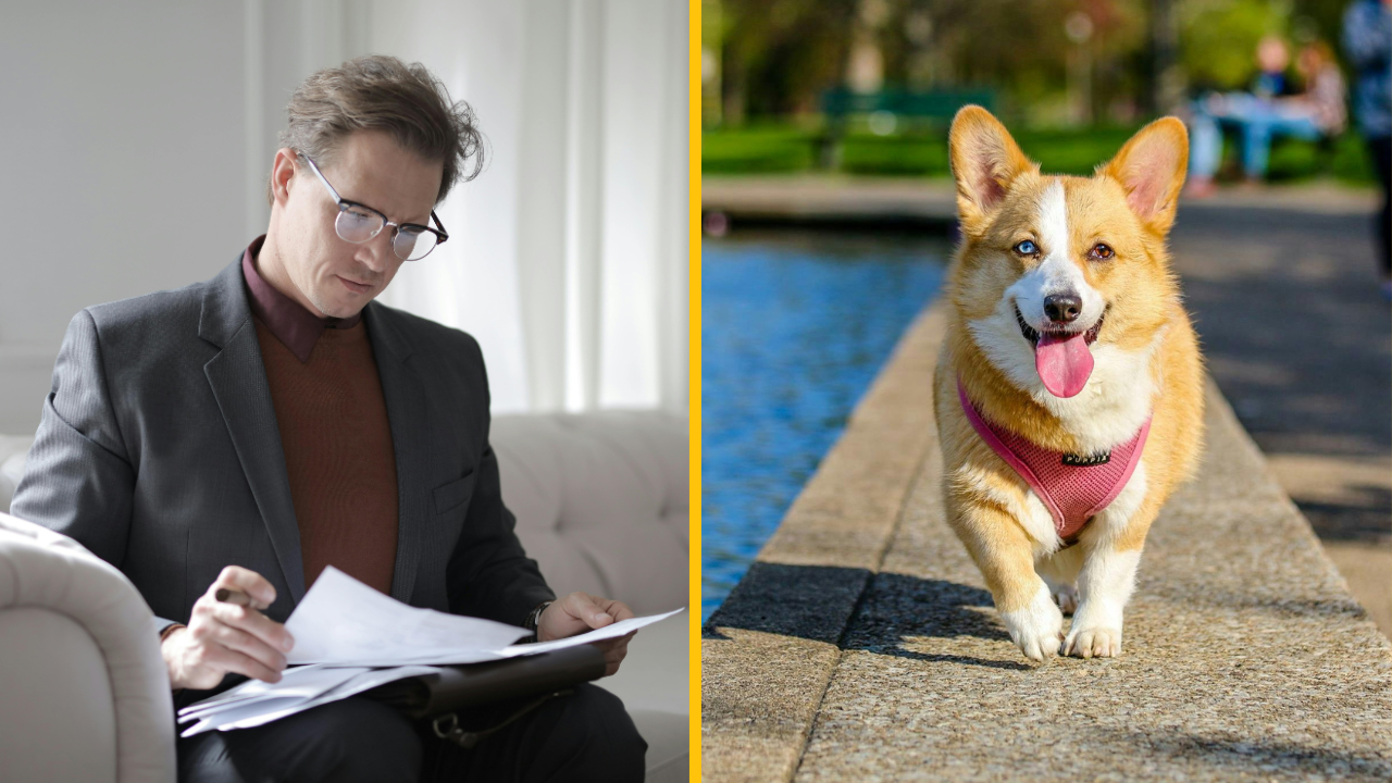 Ľudia sa podelili o najšialenejšie veci, aké ich bývalí partneri urobili