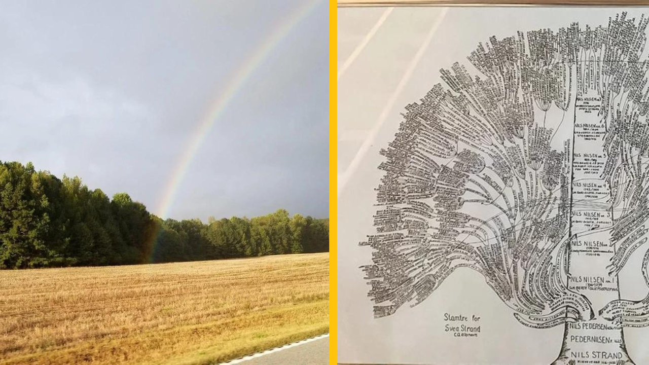 14 úchvatných vecí, s ktorými sa ľudia stretli