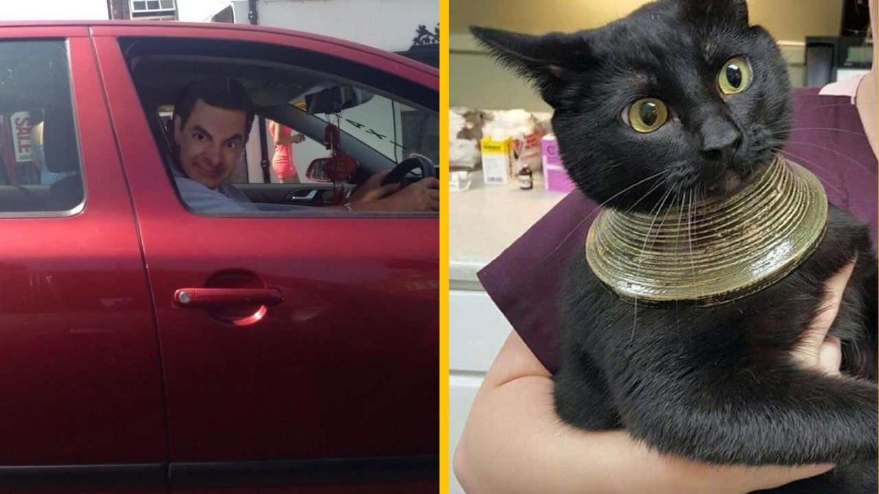 13 výnimočných situácii, s ktorými mali ľudia to šťastie