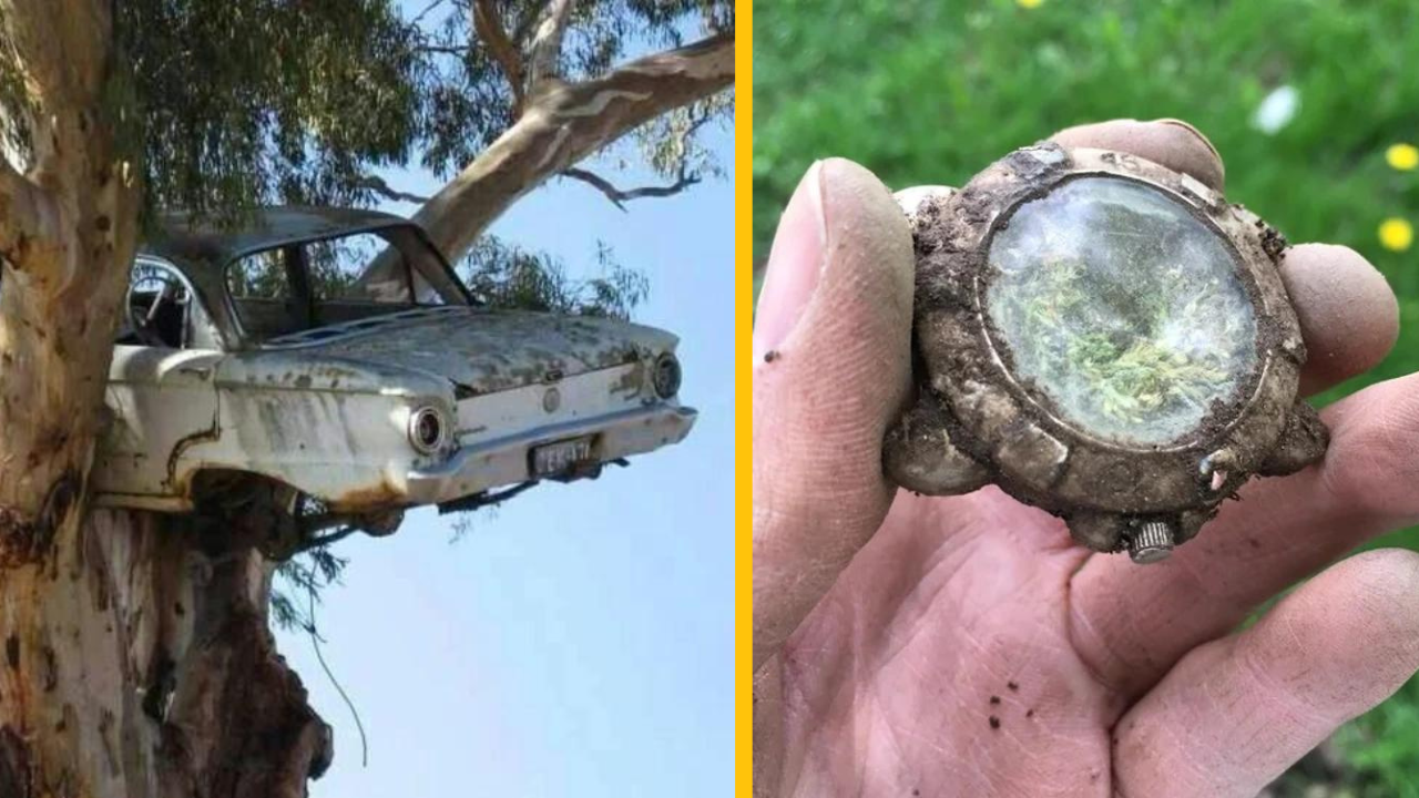 13 starých opustených vecí, ktoré vyzerajú fakt super