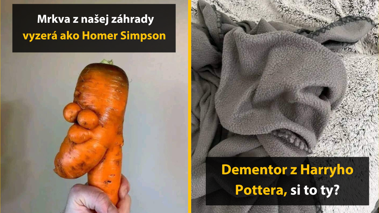15 vtipných fotografií bežných vecí, v ktorých ľudia videli tvár #2