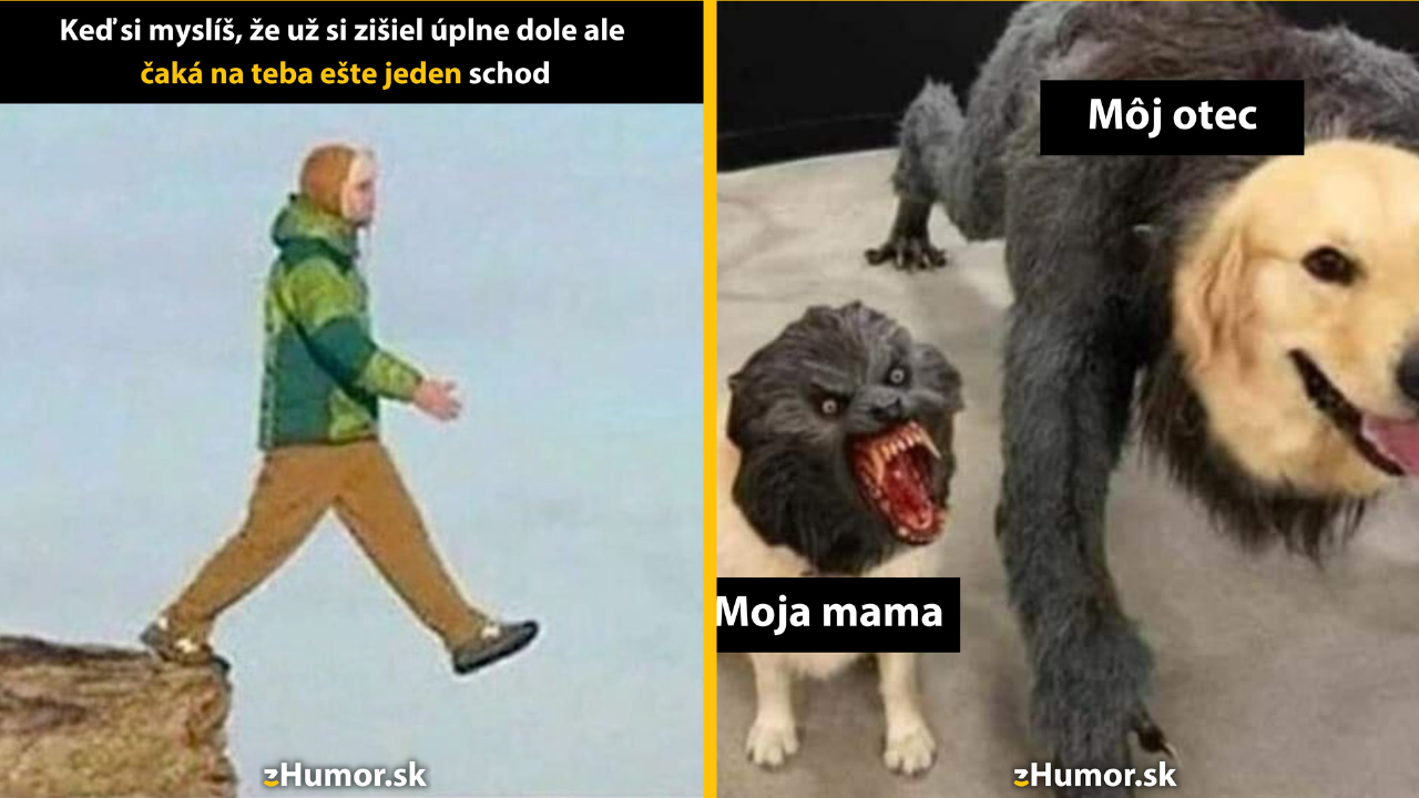 Zopár memečiek, ktoré vznikli, aby ti spríjemnili deň #1425: Videl som celý svoj život.