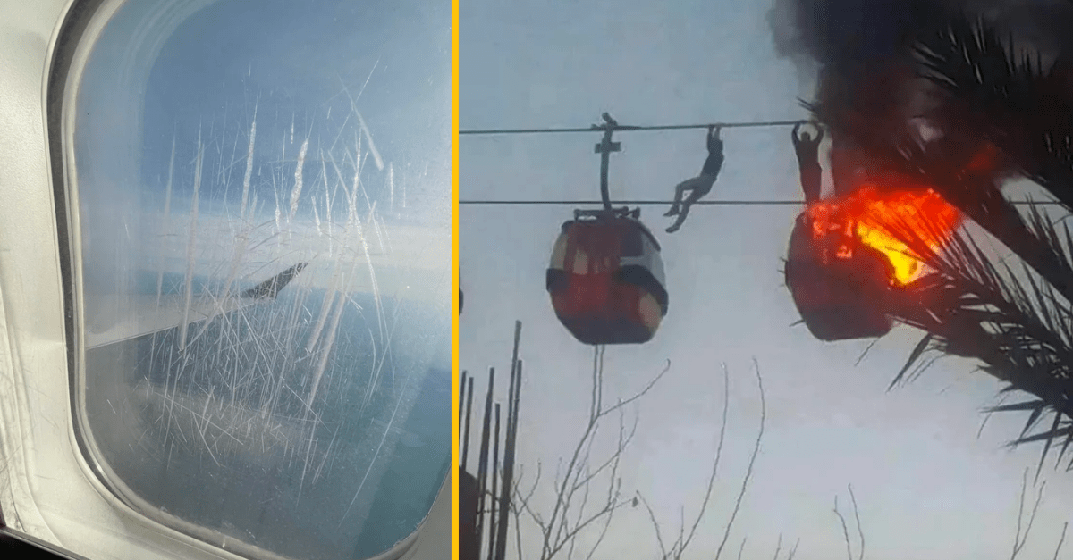 10+ vtipných fotiek ľudí, ktorým sa celý týždeň lepila smola na päty