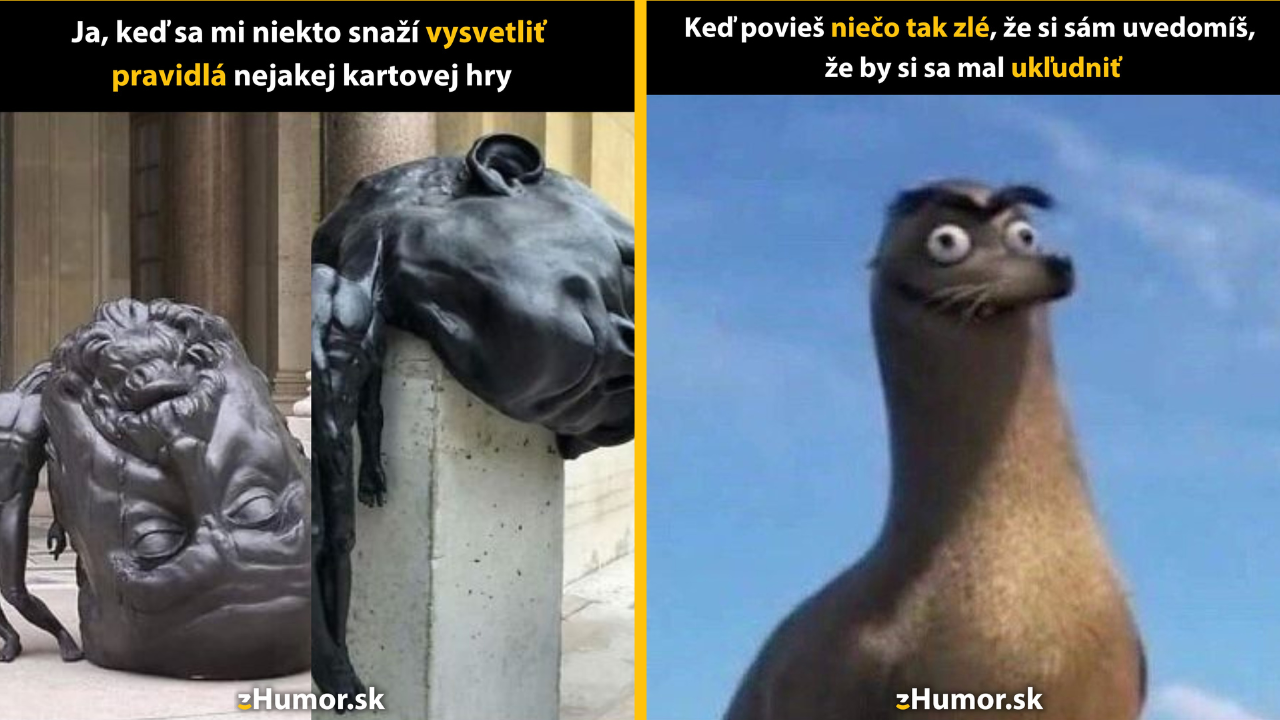 Zopár memečiek, ktoré vznikli, aby ti spríjemnili deň #1424: Už stačí, ja už to nezvládam.