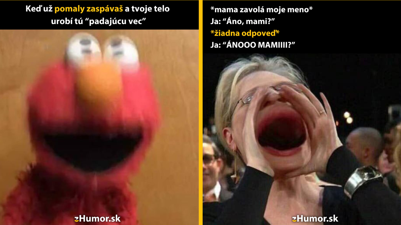 Zopár memečiek, ktoré vznikli, aby ti spríjemnili deň #1428: Mal som pred očami celý svoj život.