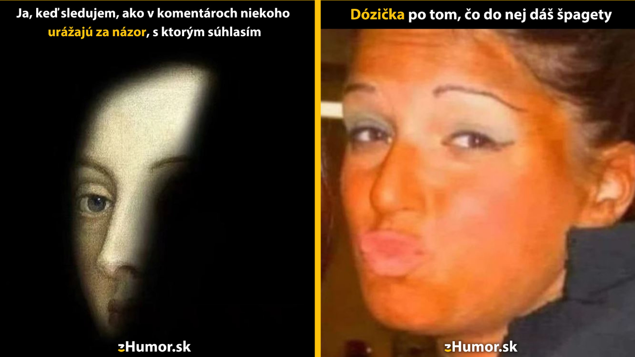 Zopár memečiek, ktoré vznikli, aby ti spríjemnili deň #1419: Tak ja radšej budem teda ticho.