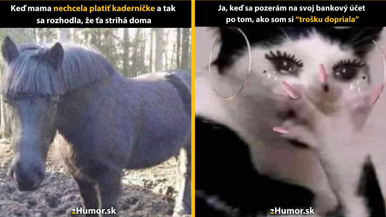 Zopár memečiek, ktoré vznikli, aby ti spríjemnili deň #1419: Tu si sadni a drž.