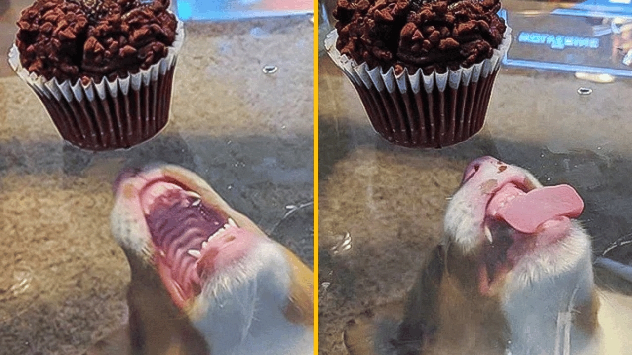 10 milých fotografií, ktoré ti dobijú baterky