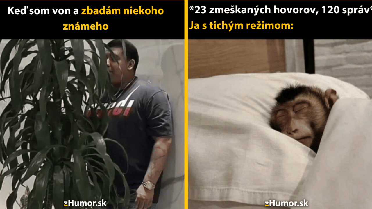 10 memečiek zo sveta introvertov