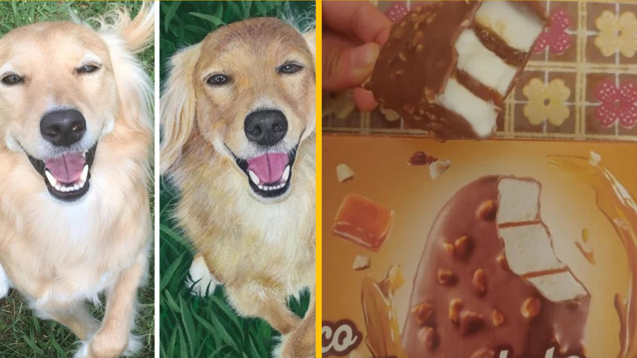 18 šťastlivcov, ktorí neočakávali veľa, ale dostali skutočný klenot