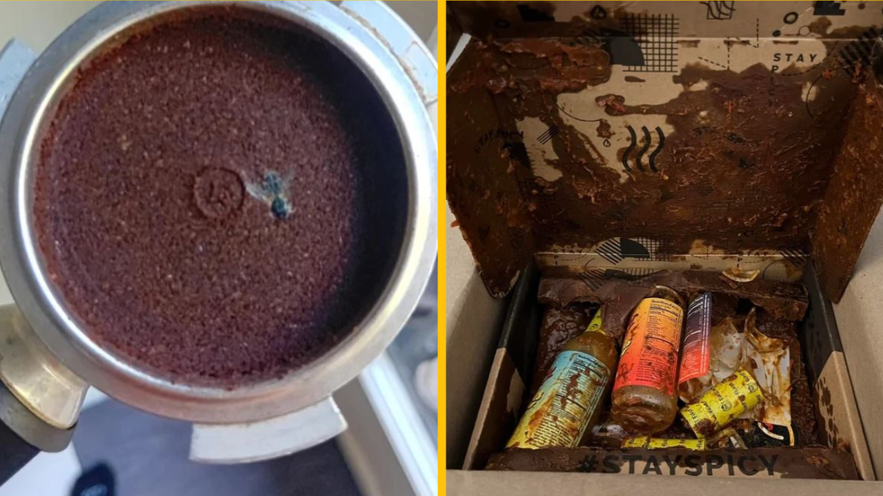 Títo ľudia nemohli uveriť, akú majú neuveriteľnú smolu