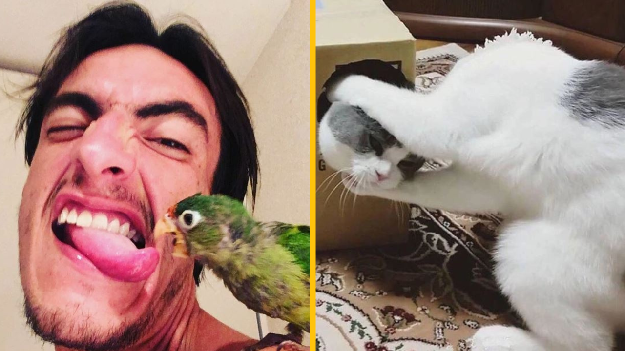 Fotografie, ktoré dokazujú, že na skutočné majstrovské dielo stačí len jedna sekunda