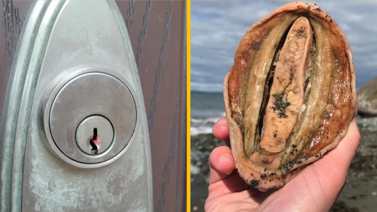 16 záhadných objavov, ktoré nechali ľudí úplne zmätených