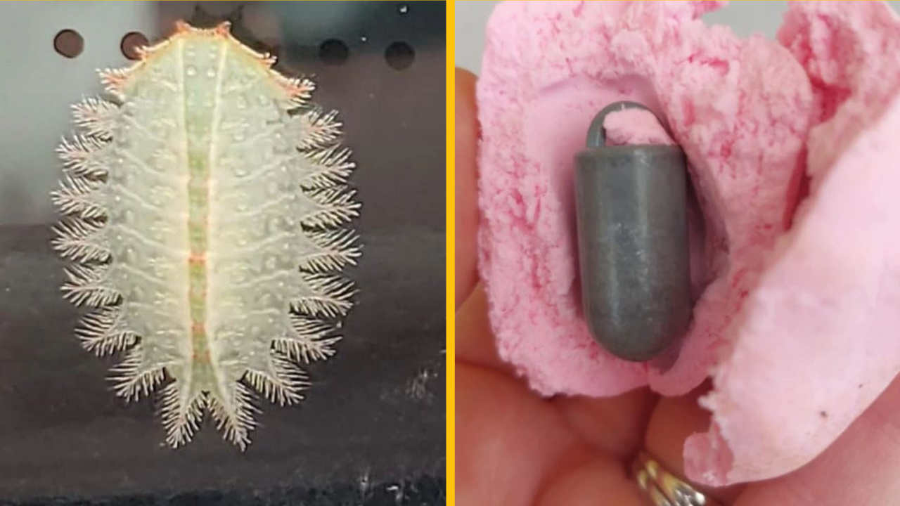 Záhadné nálezy, ktoré prinútili ľudí spochybňovať ich zdravý rozum