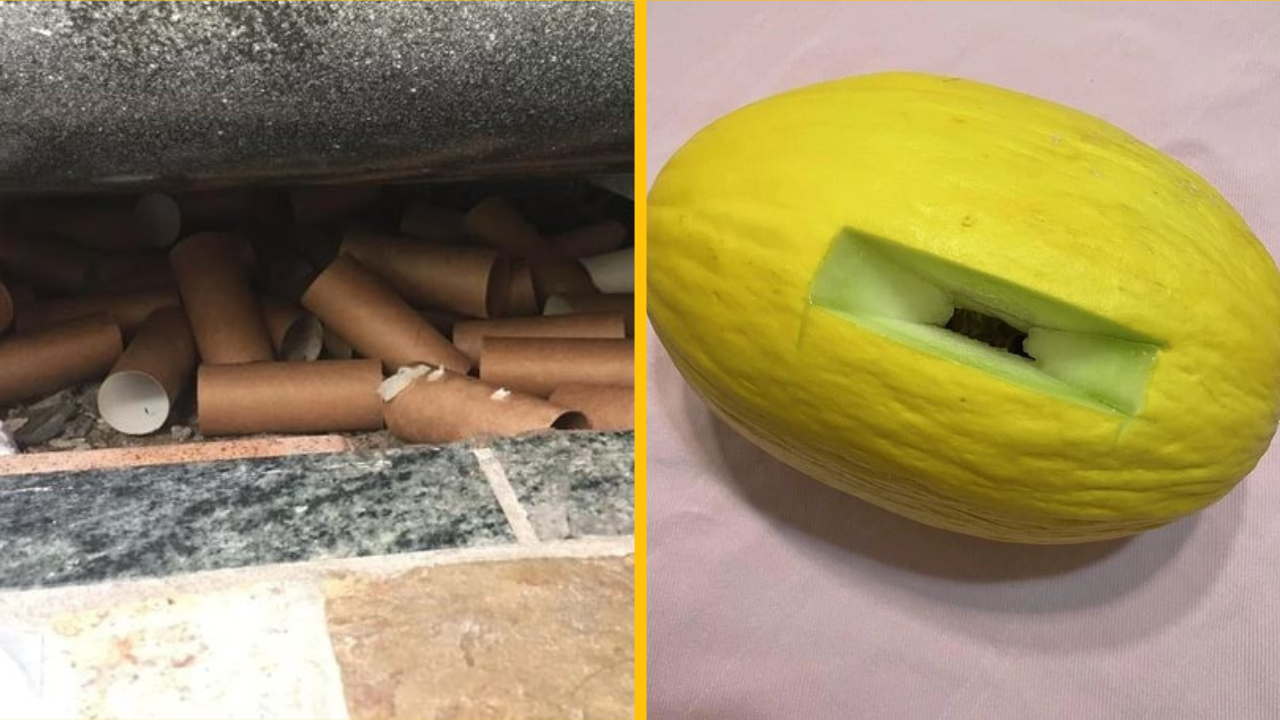 Neznesiteľní hostia, ktorých by ste nikdy nechceli privítať vo svojom dome