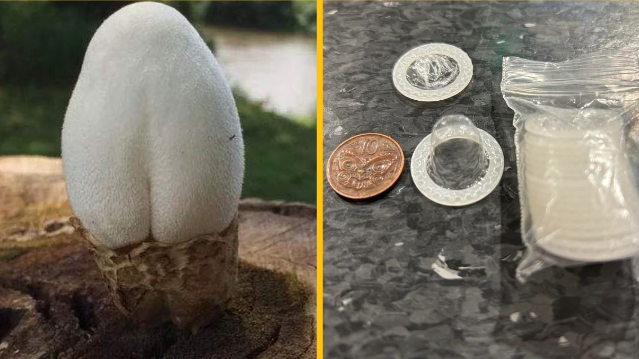 13 zvláštnych vecí, ktoré potrebovali tím internetových expertov