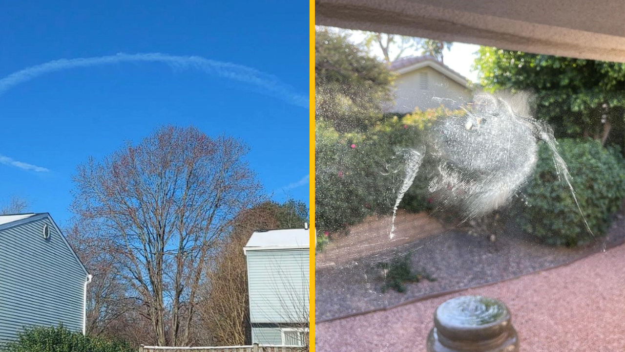 Týchto 10 fotografií je príliš zaujímavých na to, aby ste ich prehliadli