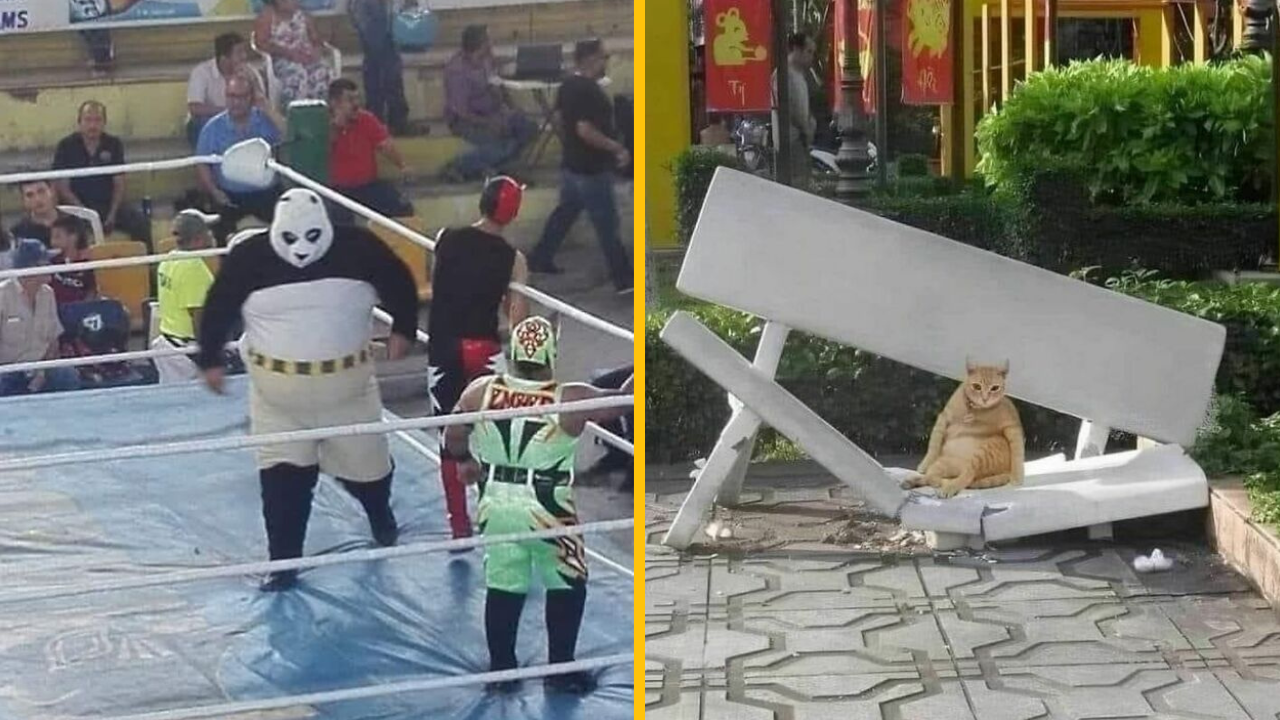 10 fotografií, ktoré jednoducho musíte vidieť