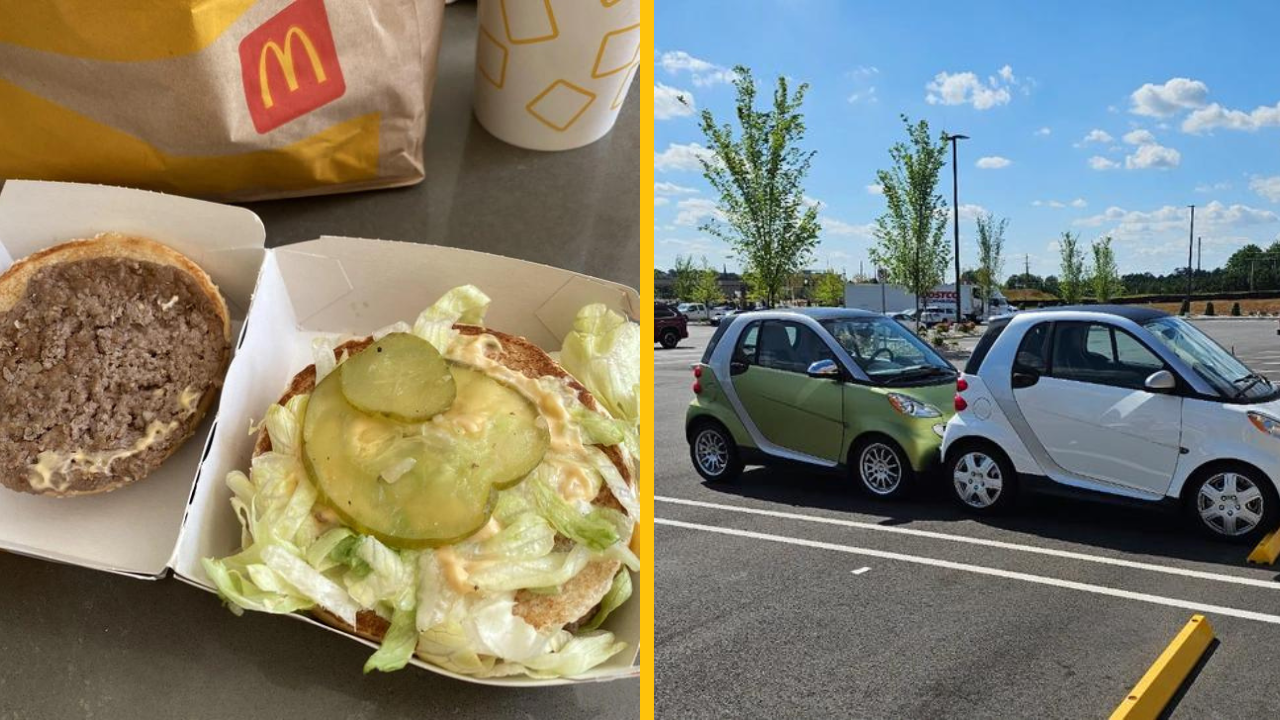 14 ľudí, ktorým ich deň narušilo niečo nezvyčajné