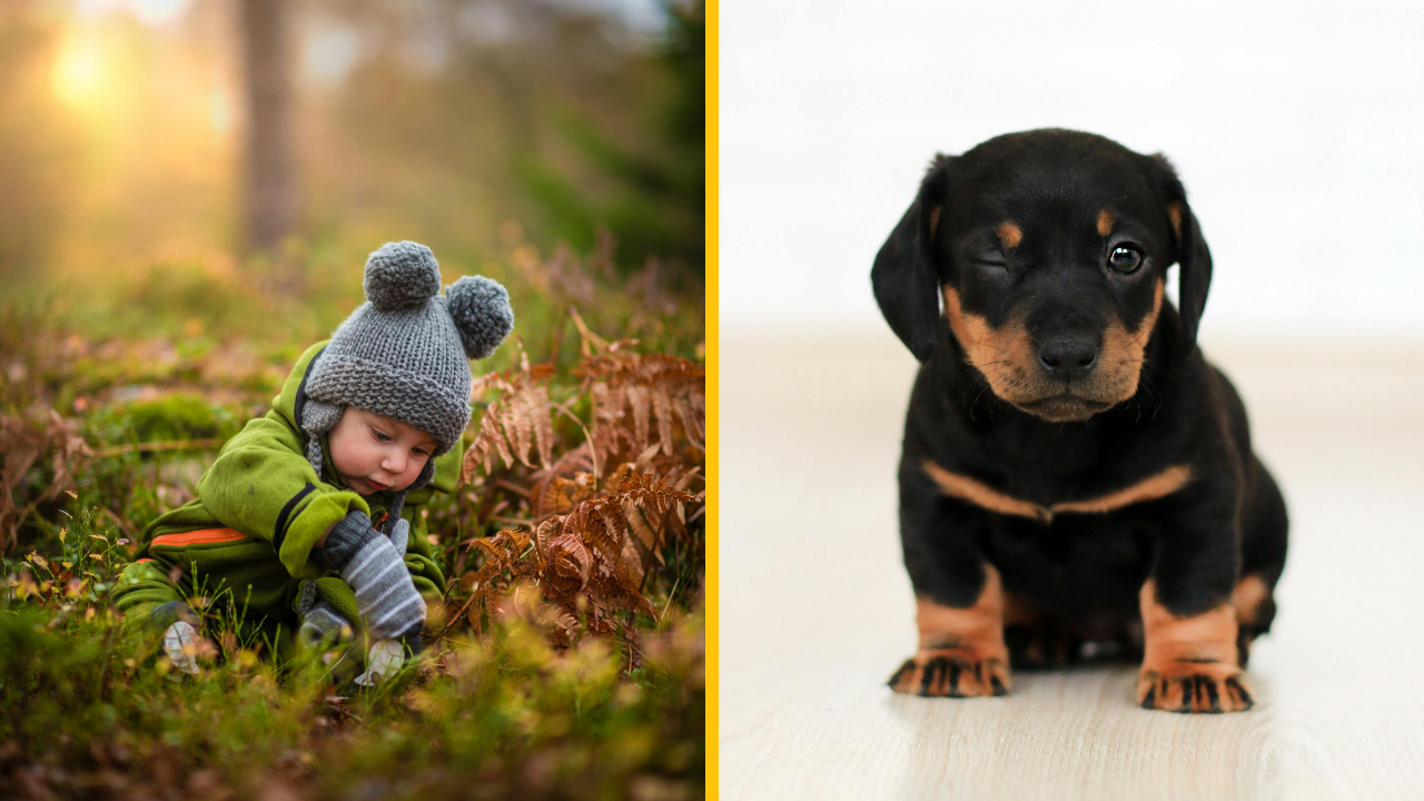 „Môj syn je posadnutý našim novým psom. Spolu s ním vykonáva veľkú potrebu.“