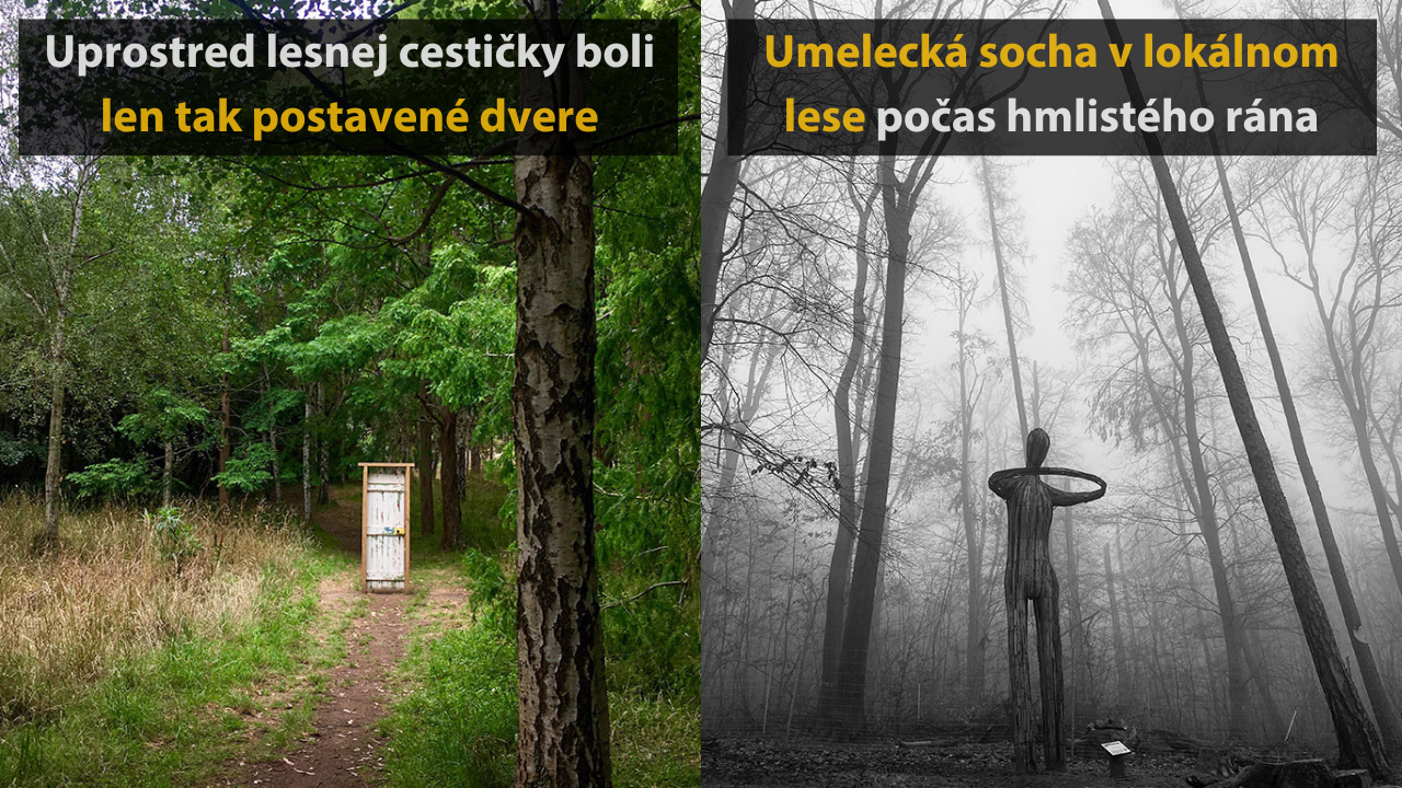 15 zaujímavých a niekedy až bizarných vecí, ktoré našli ľudia v lese #3