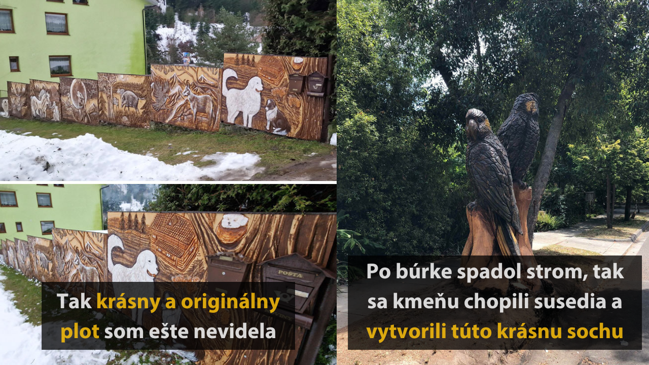 15 fotografií, ktoré ukazujú, že aký je život so skvelými susedmi #1