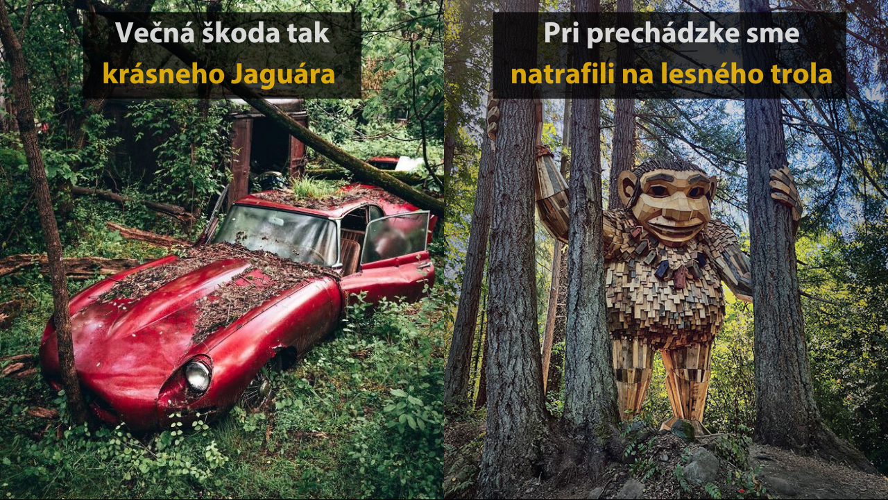 15 zaujímavých a niekedy až bizarných vecí, ktoré našli ľudia v lese #2