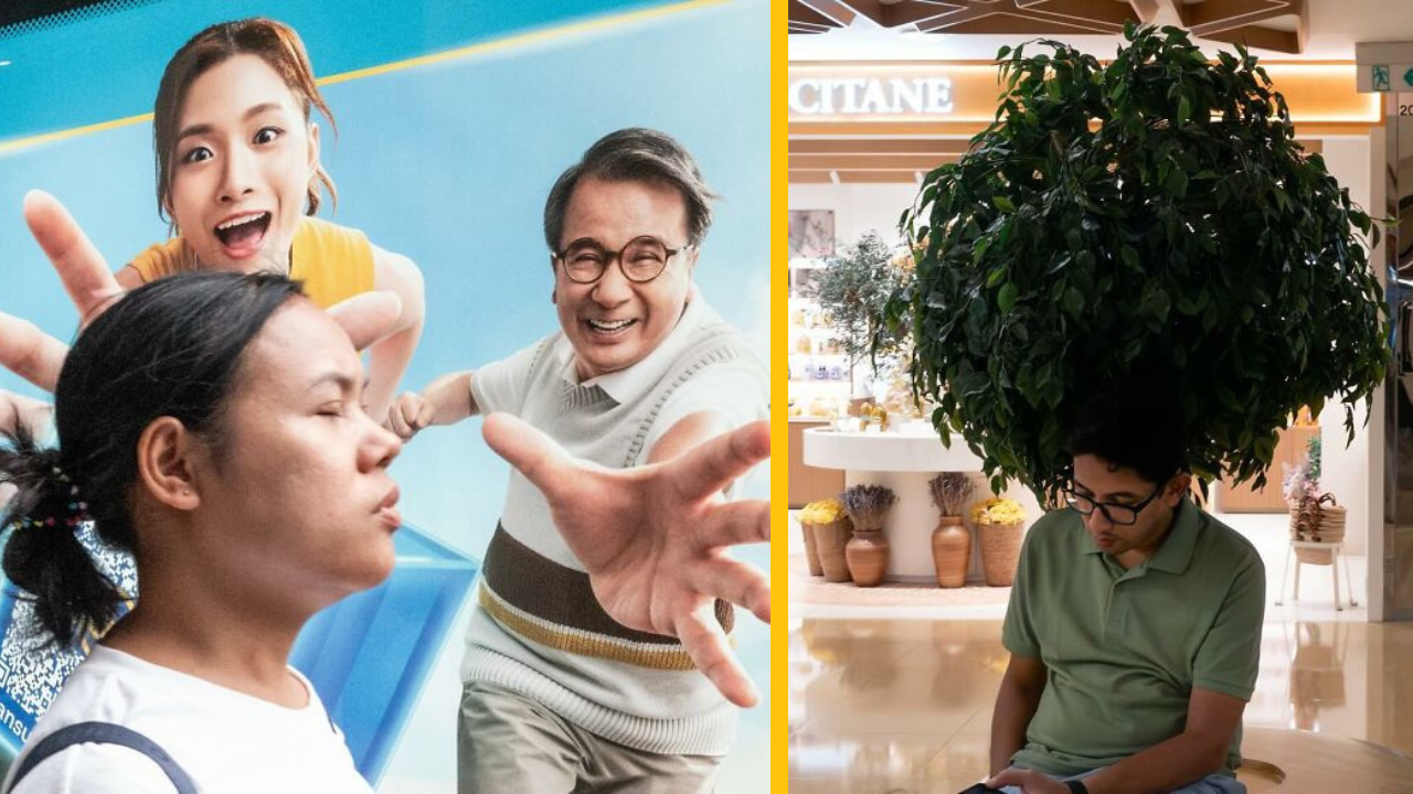 13 zábavných fotiek, ktoré boli urobené v správnom čase a na správnom mieste