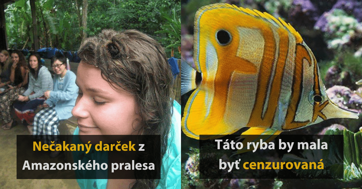 15 fotografií, ktoré sú úplne normálne, až kým sa na ne nepozriete poriadne