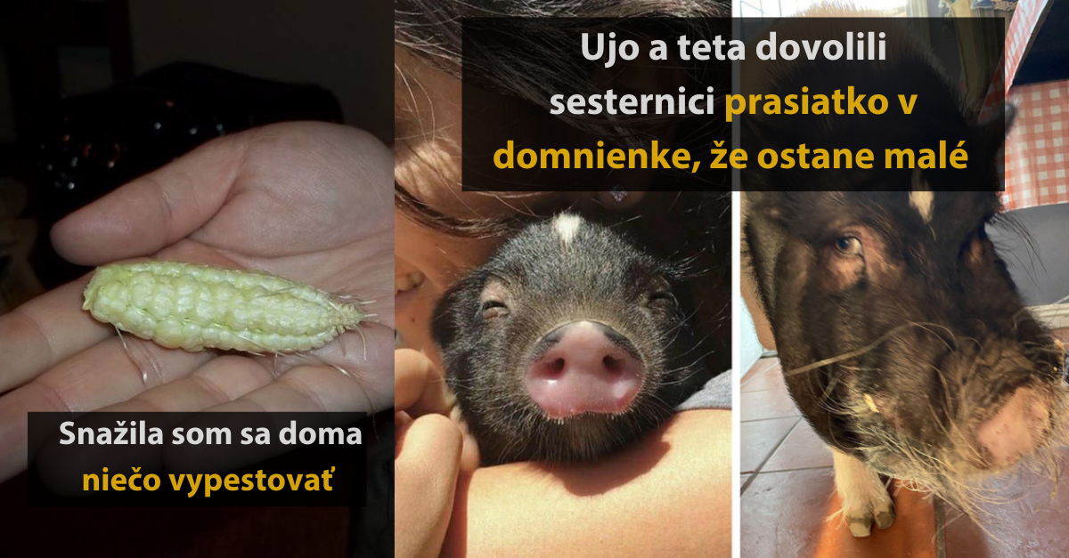 12 príbehov ľudí, ktorí dokážu z nešťastia vyrobiť dokonalú zábavu