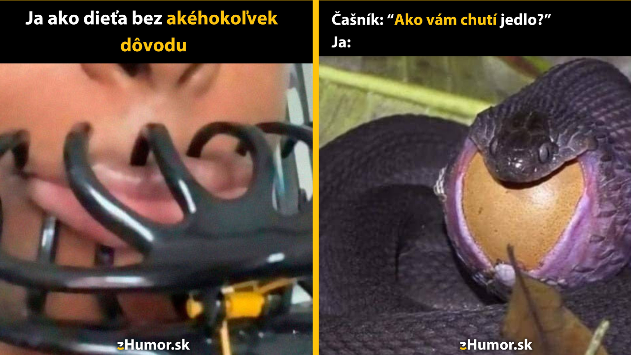 Zopár memečiek, ktoré vznikli, aby ti spríjemnili deň #1432: Nedalo sa odolať.