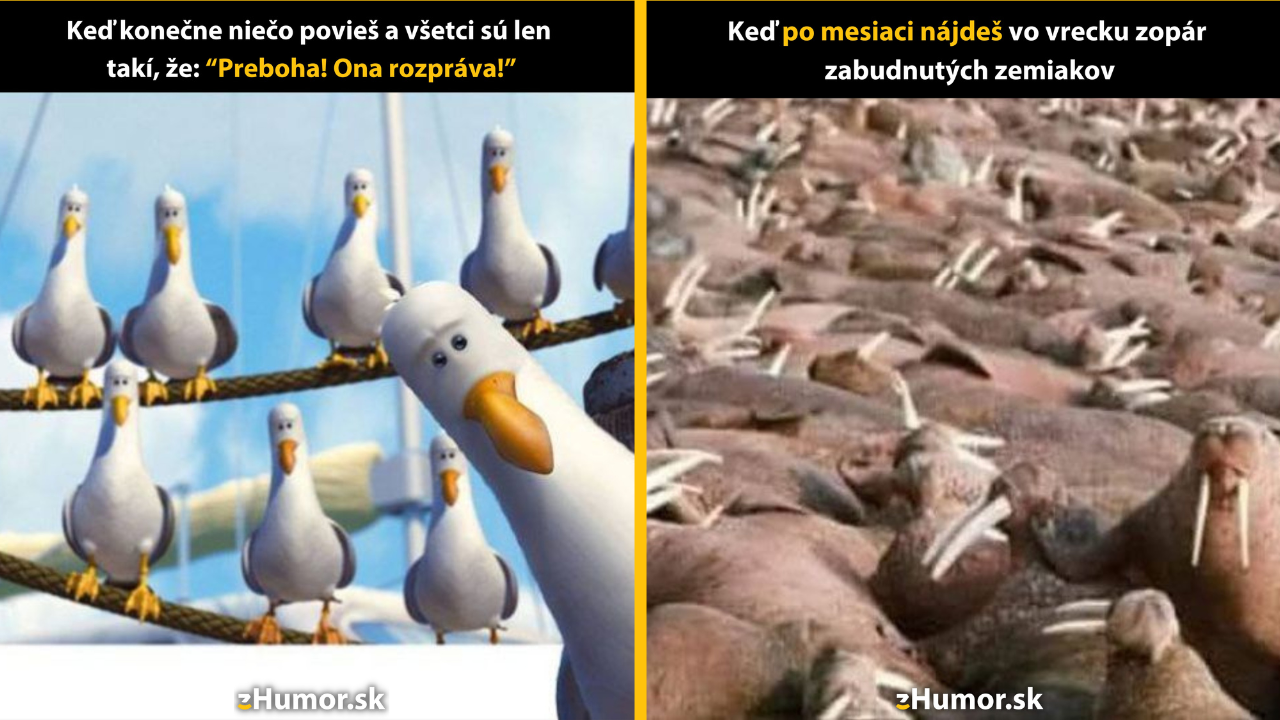 Zopár memečiek, ktoré vznikli, aby ti spríjemnili deň #1431: Mohla by si to zopakovať?