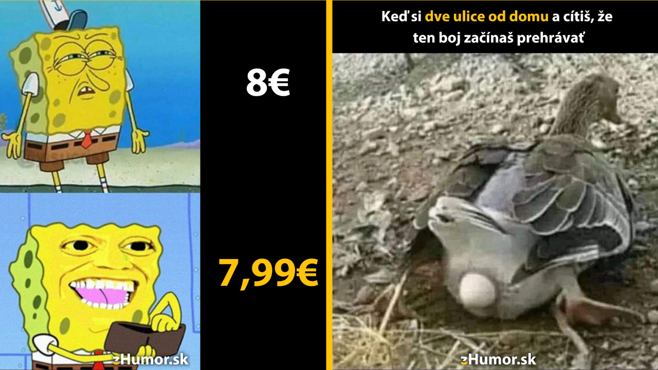 Zopár memečiek, ktoré vznikli, aby ti spríjemnili deň #1431: Teraz už sa to naozaj oplatí.