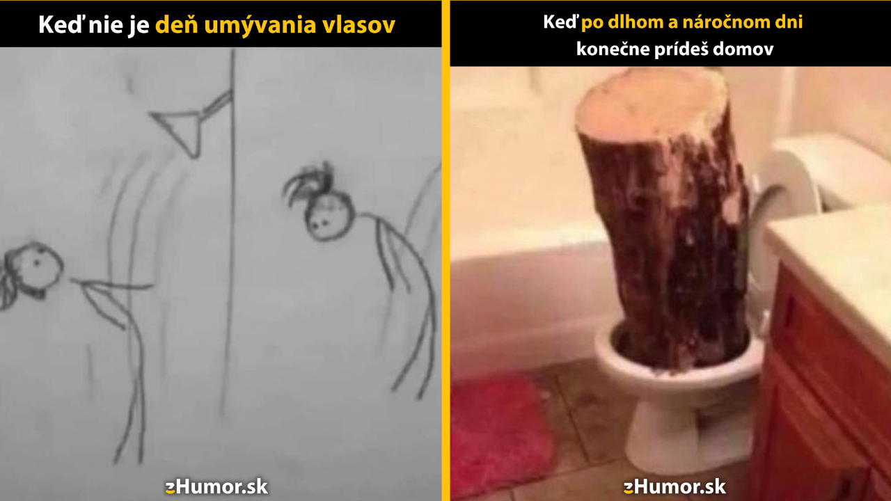 Zopár memečiek, ktoré vznikli, aby ti spríjemnili deň #1431: Dnes nie je váš deň.