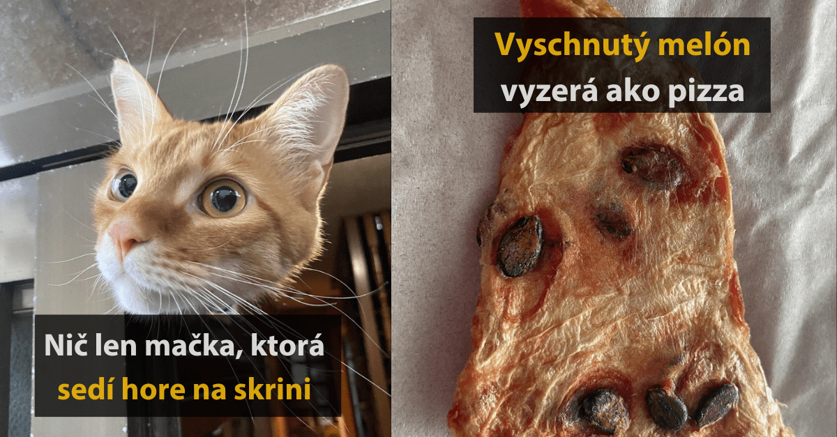 15 fotografií, ktoré vám ľahko zamotajú hlavu