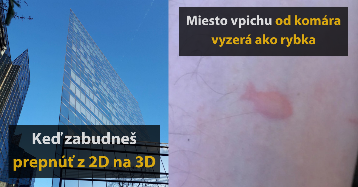 15 fotografií, na ktoré sa budete musieť pozrieť aspoň dvakrát, aby ste z nich vyťažili maximum