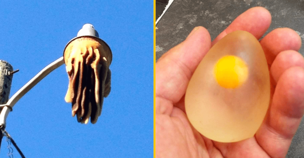 10+ fotograií, kde príroda ukazuje svoju jednečnosť a kreativitu