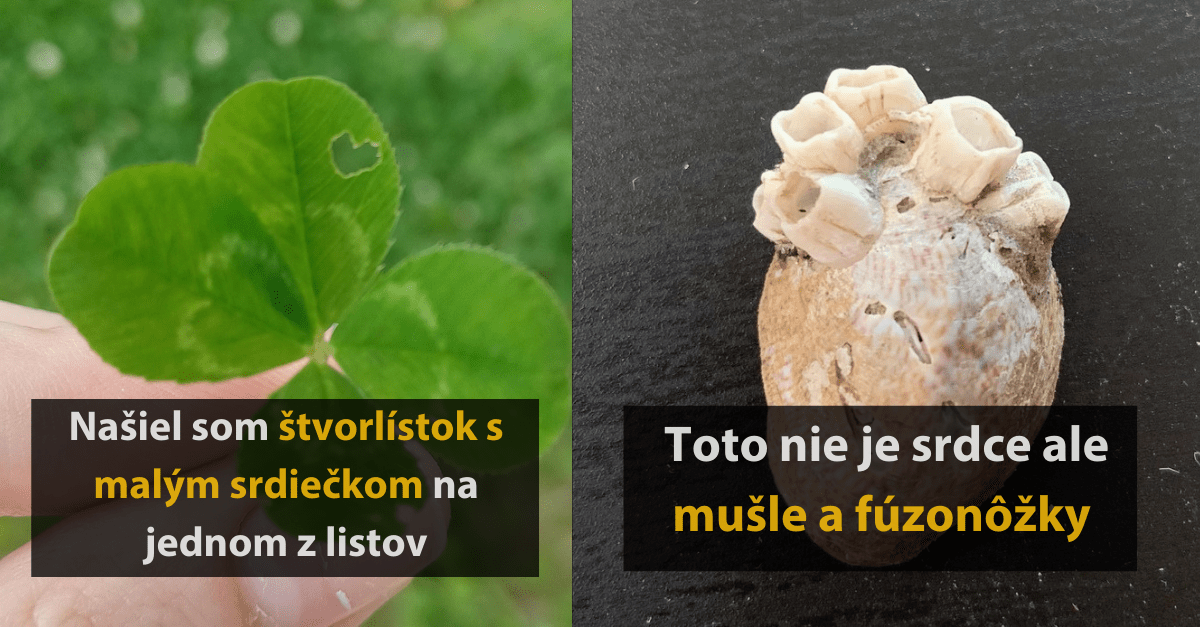 17 ľudí, ktorým sa naskytla možnosť vyfotografovať veľmi unikátne zábery