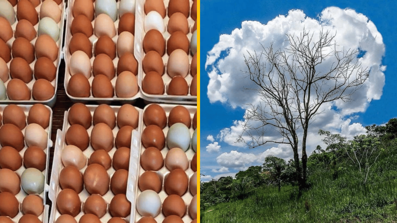 10 fotografií, pri ktorých ti bude mozog robiť kotrmelce