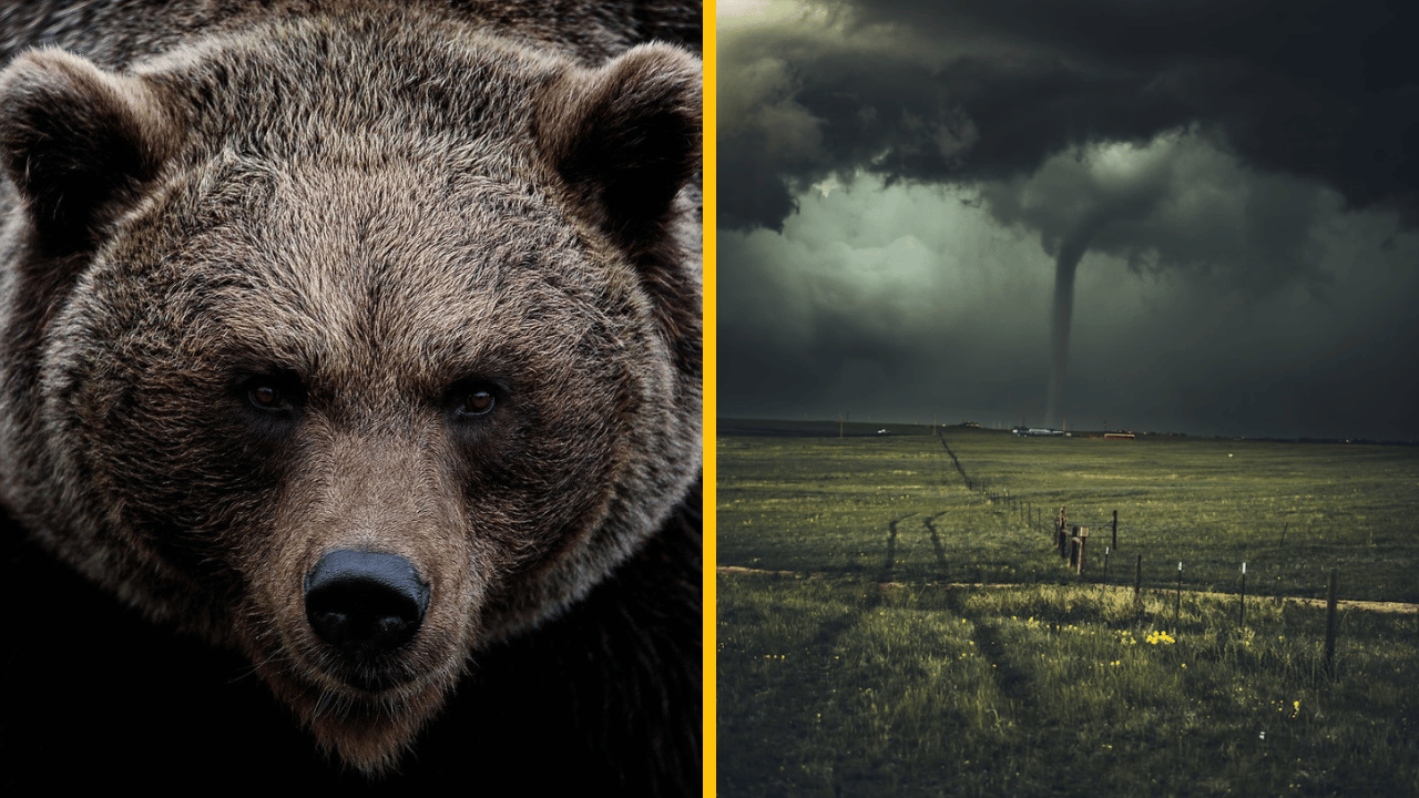 Klasické tipy na prežitie, ktoré vás v skutočnosti zabijú