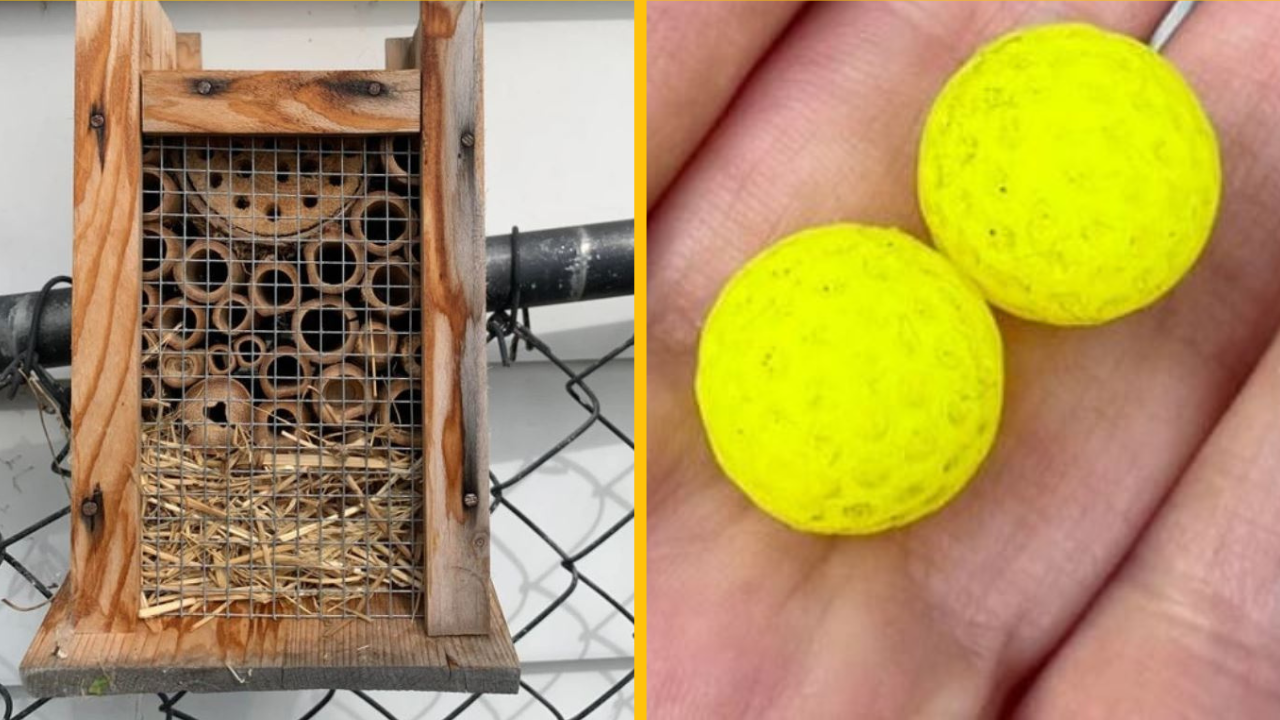 15 zvláštnych predmetov s iným významom, než sme si predstavovali