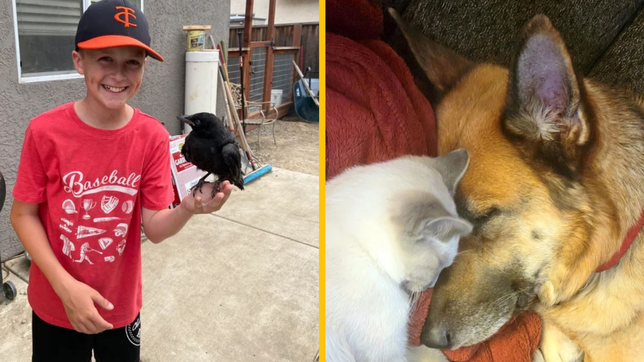 Títo ľudia videli kúzlo skryté v každodennom živote