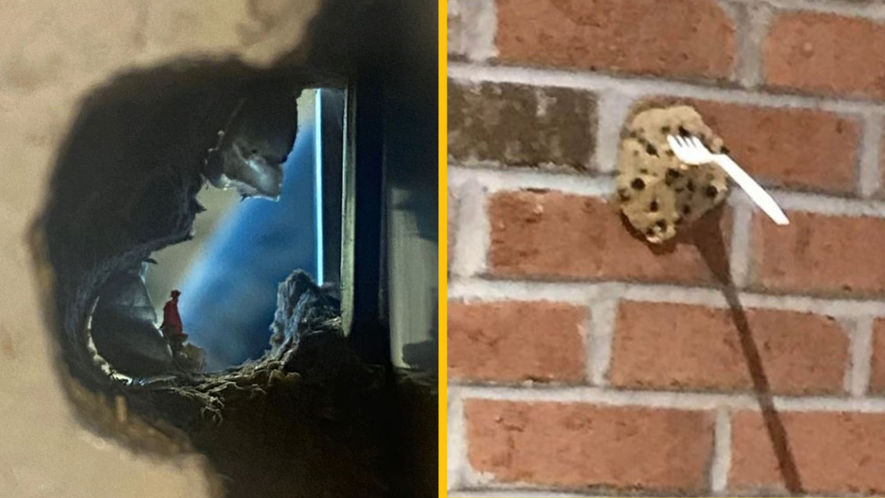 15 ľudí, ktorí mali to šťastie, že boli svedkami náhody