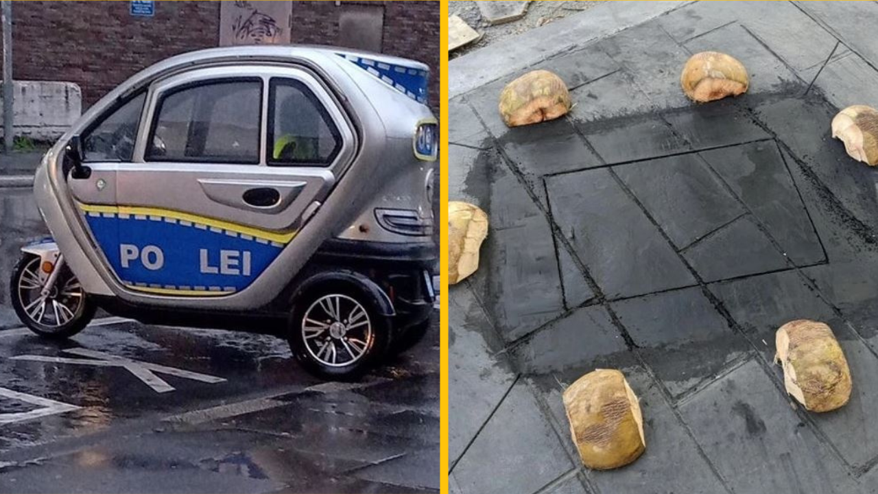 16 ľudí, ktorí aj napriek svojim zisteniam neverili vlastným očiam