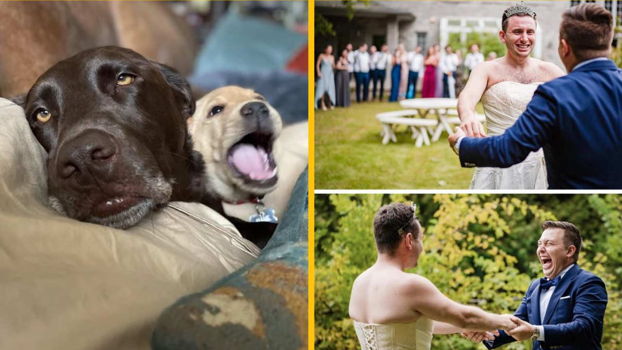 10+ ľudí, ktorých rodinný život má ďaleko od nudy