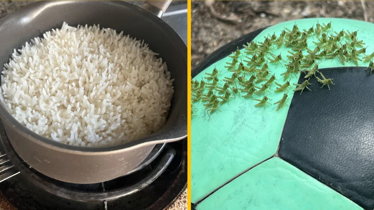 Títo ľudia sa podelili o svoje najzaujímavejšie nálezy