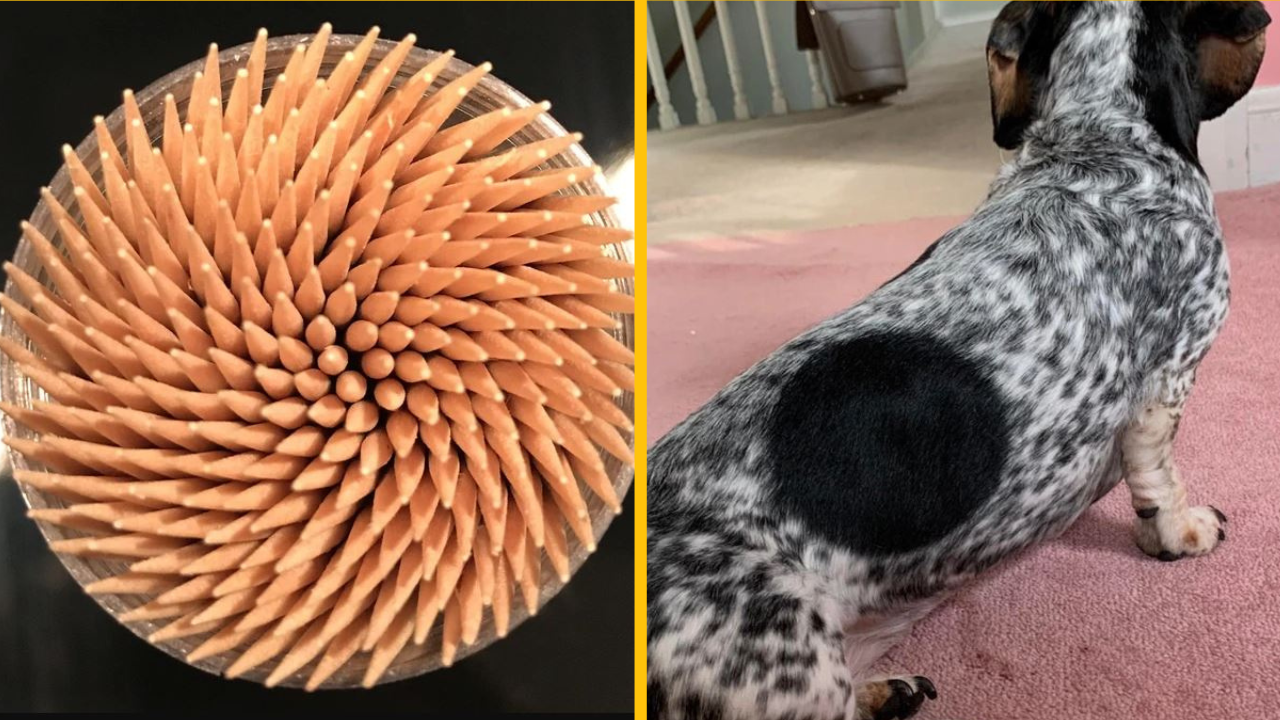 Fotografie, ktoré dokazujú, že náš svet môže byť niekedy úplne dokonalý