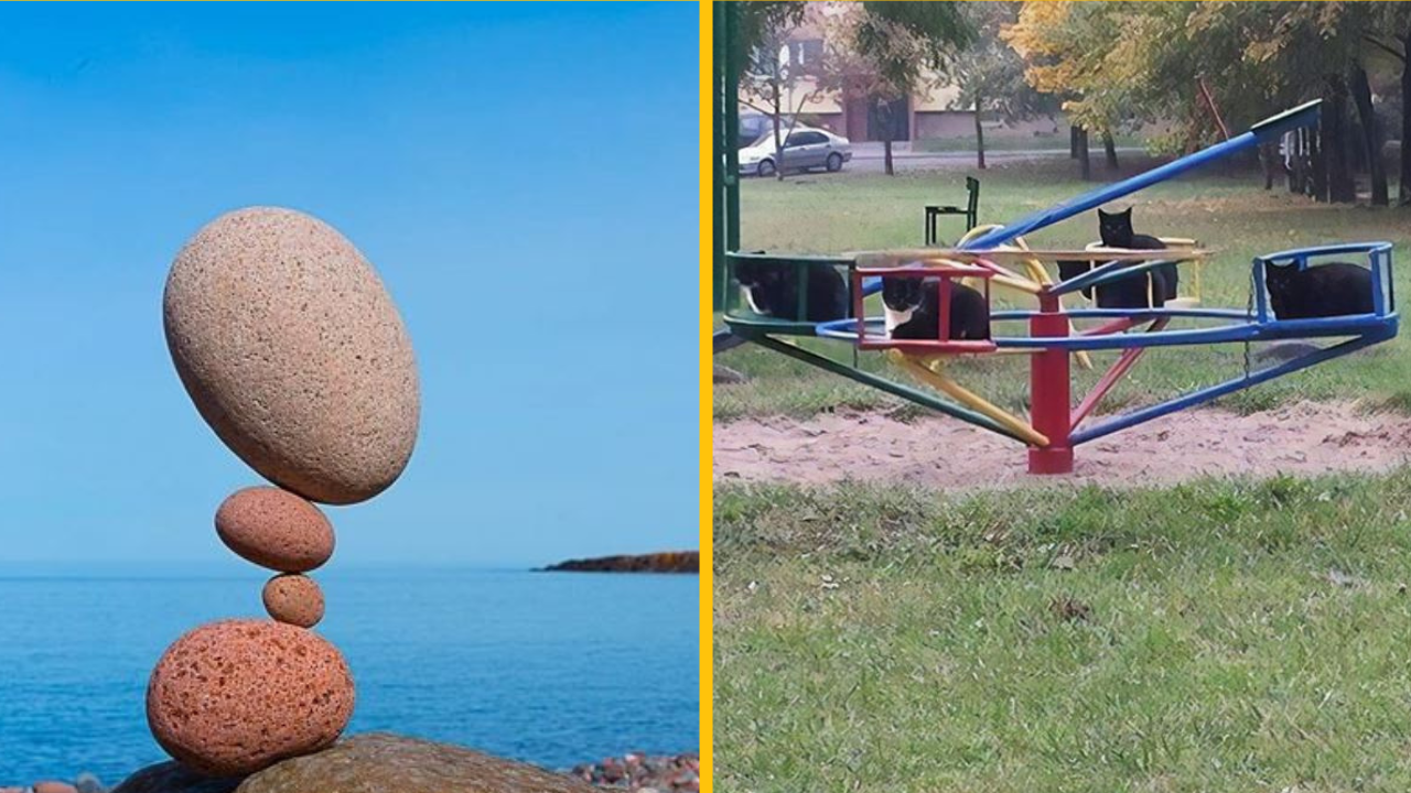 Momenty, ktorým by nikto neveril, keby ich nezachytila ​​kamera