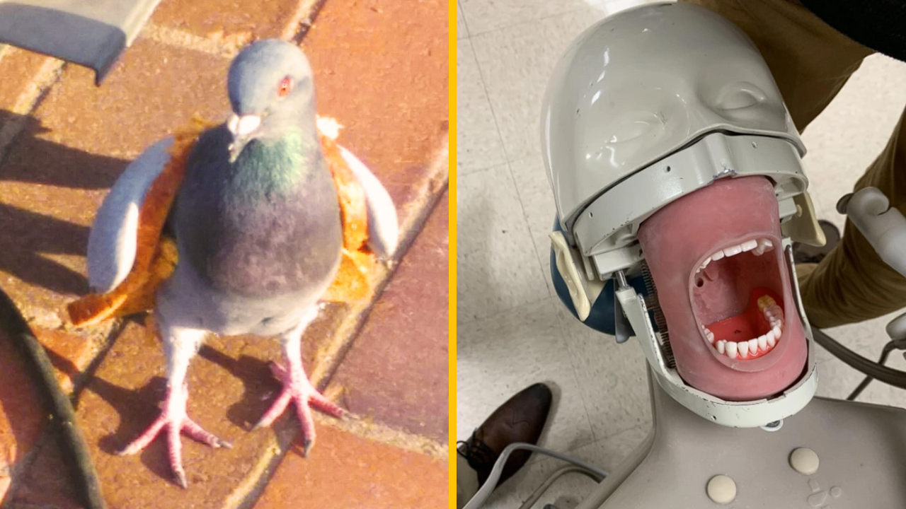 10 momentov, ktoré sú znepokojivé, no nebudete vedieť odtrhnúť oči